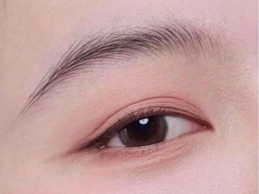Từng sợi mày mảnh, đều màu